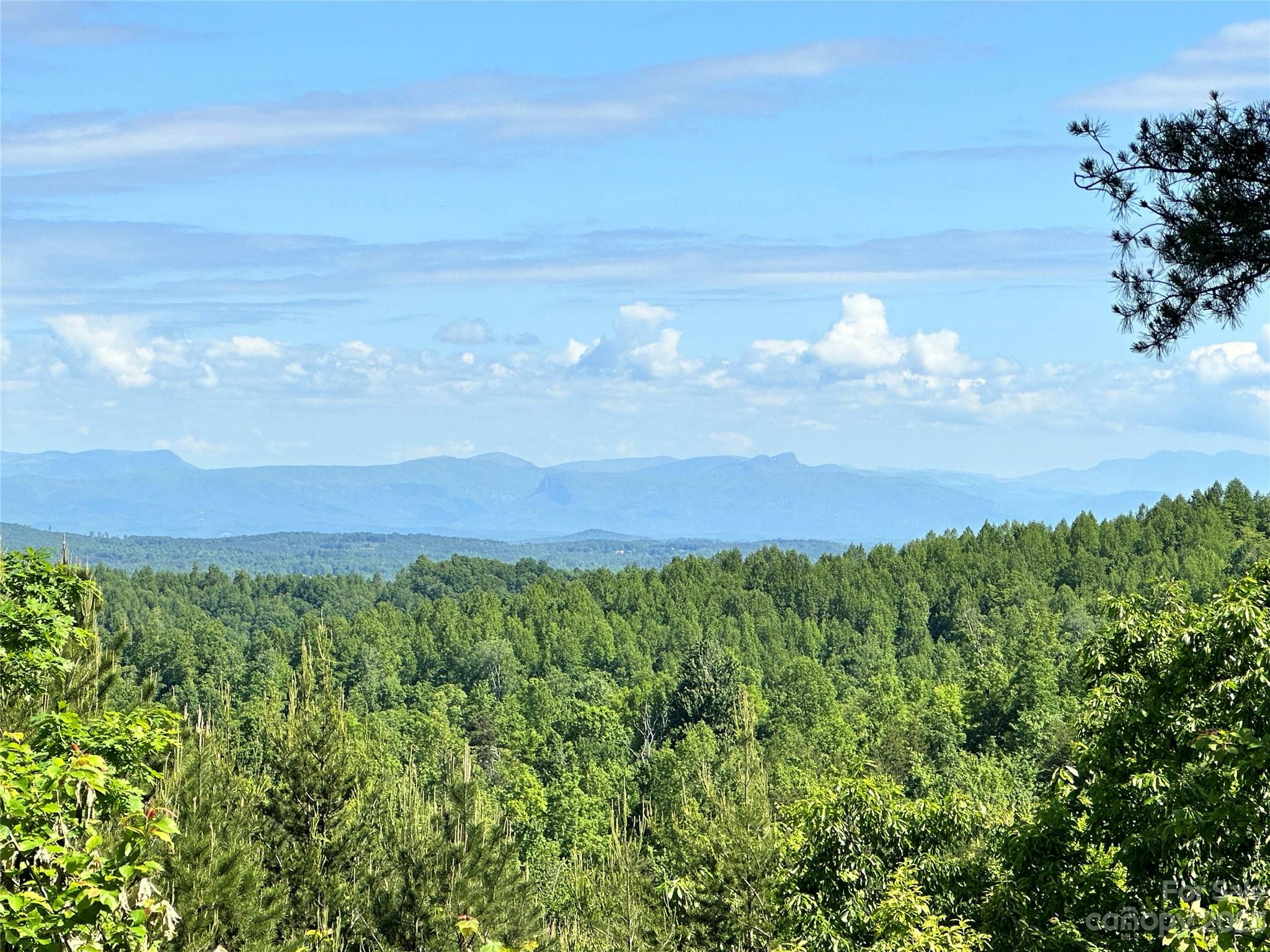 Property Photo: 1208 Mountain Vista Drive 319 NC 28761