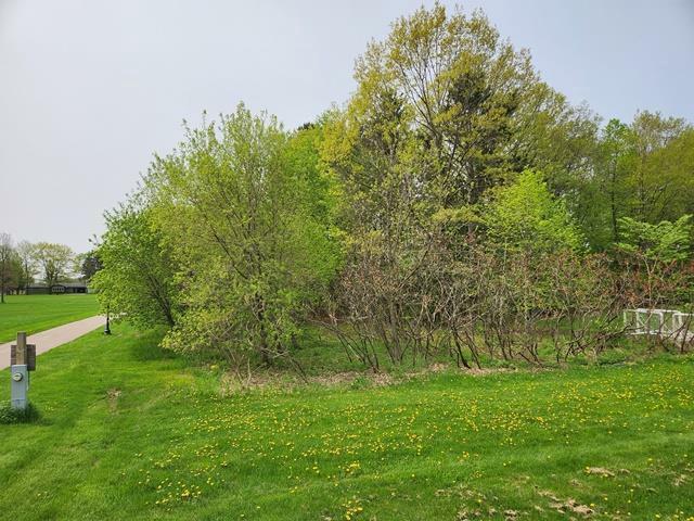 Lot 8 3rd Street  Pittsville WI 54466 photo