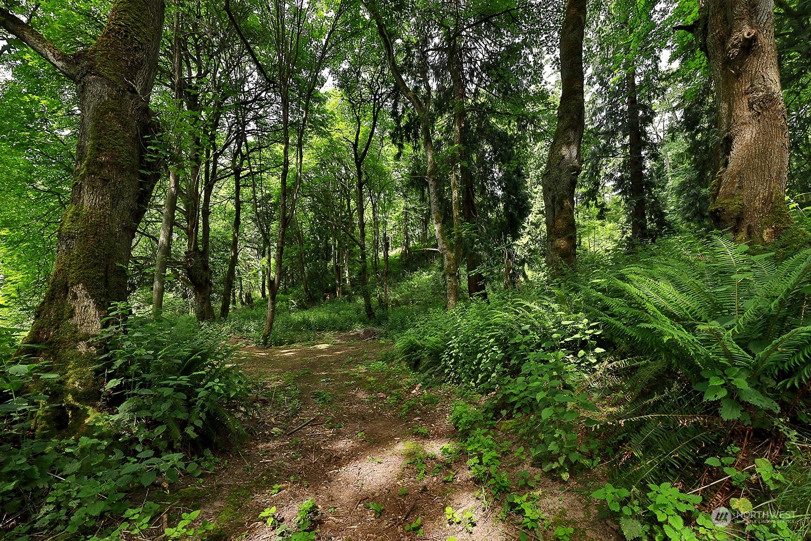 Property Photo: 0 Nhn Swede Hill Road WA 98236
