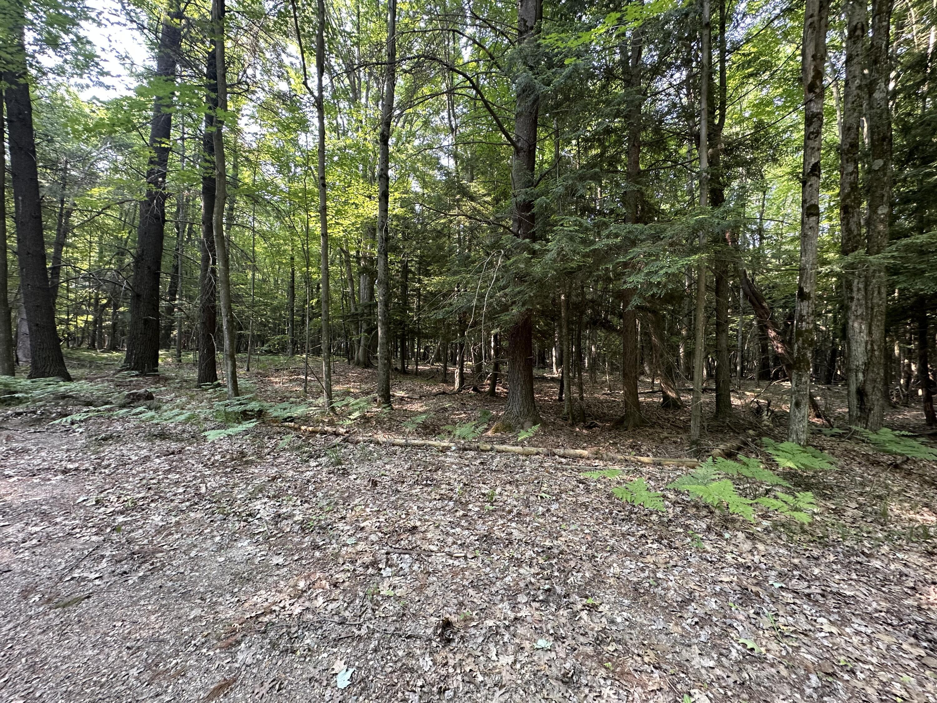 Property Photo: 9191 Deerfield Court MI 49346