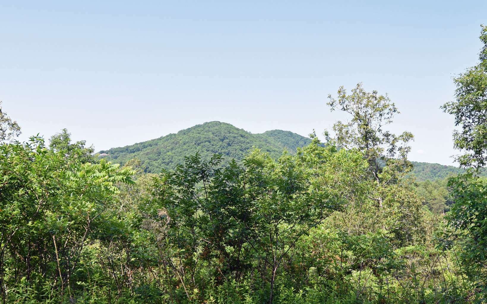 Property Photo:  Lot54 Brasstown View Road  NC 28906 