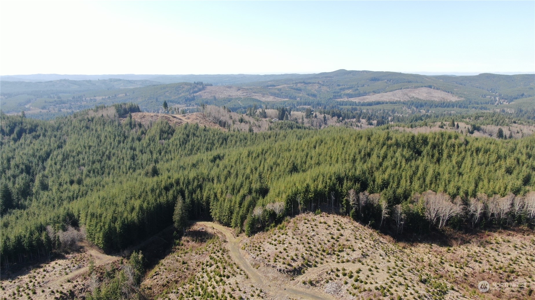 Property Photo:  0 Off Of Lund Road  WA 98537 