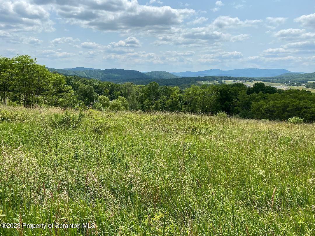 Property Photo:  5 Middle Mountain Road  PA 18657 
