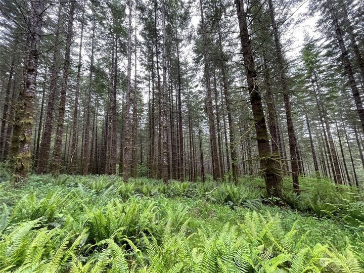 Property Photo:  0  Rose Valley Road  WA 98626 