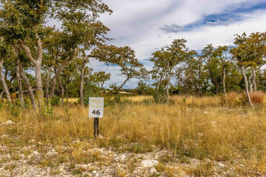 Property Photo:  Lot 46 Ridgeline Rd  TX 78624 