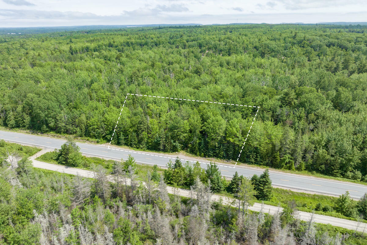 Property Photo:  Lot 125 US Rt 1  ME 04658 