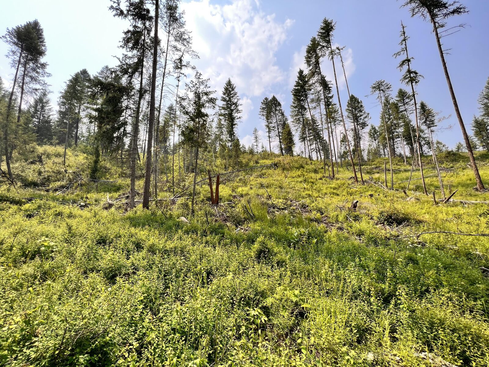 Property Photo: Tbd Vista Dr WA 99166