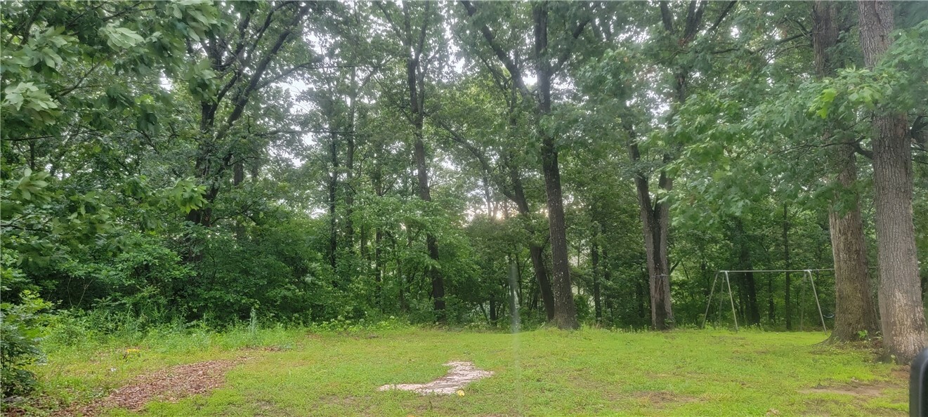 367 County Road 621  Green Forest AR 72638 photo