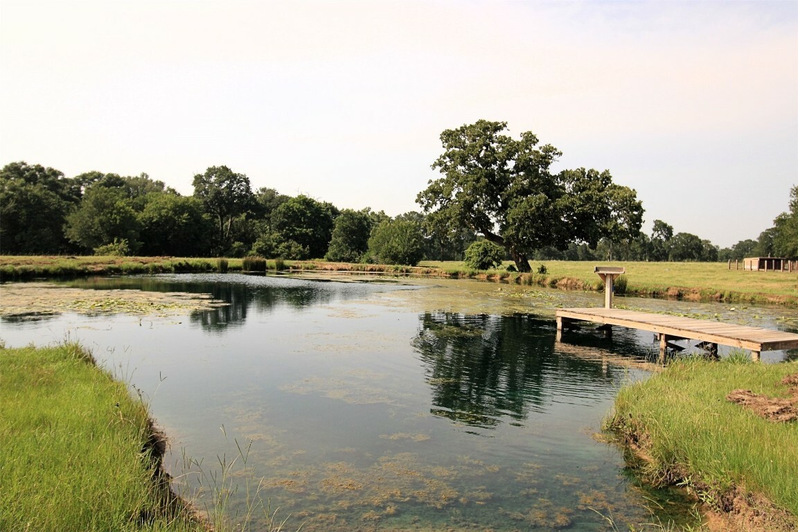 Property Photo:  4257 County Road 405  TX 78947 