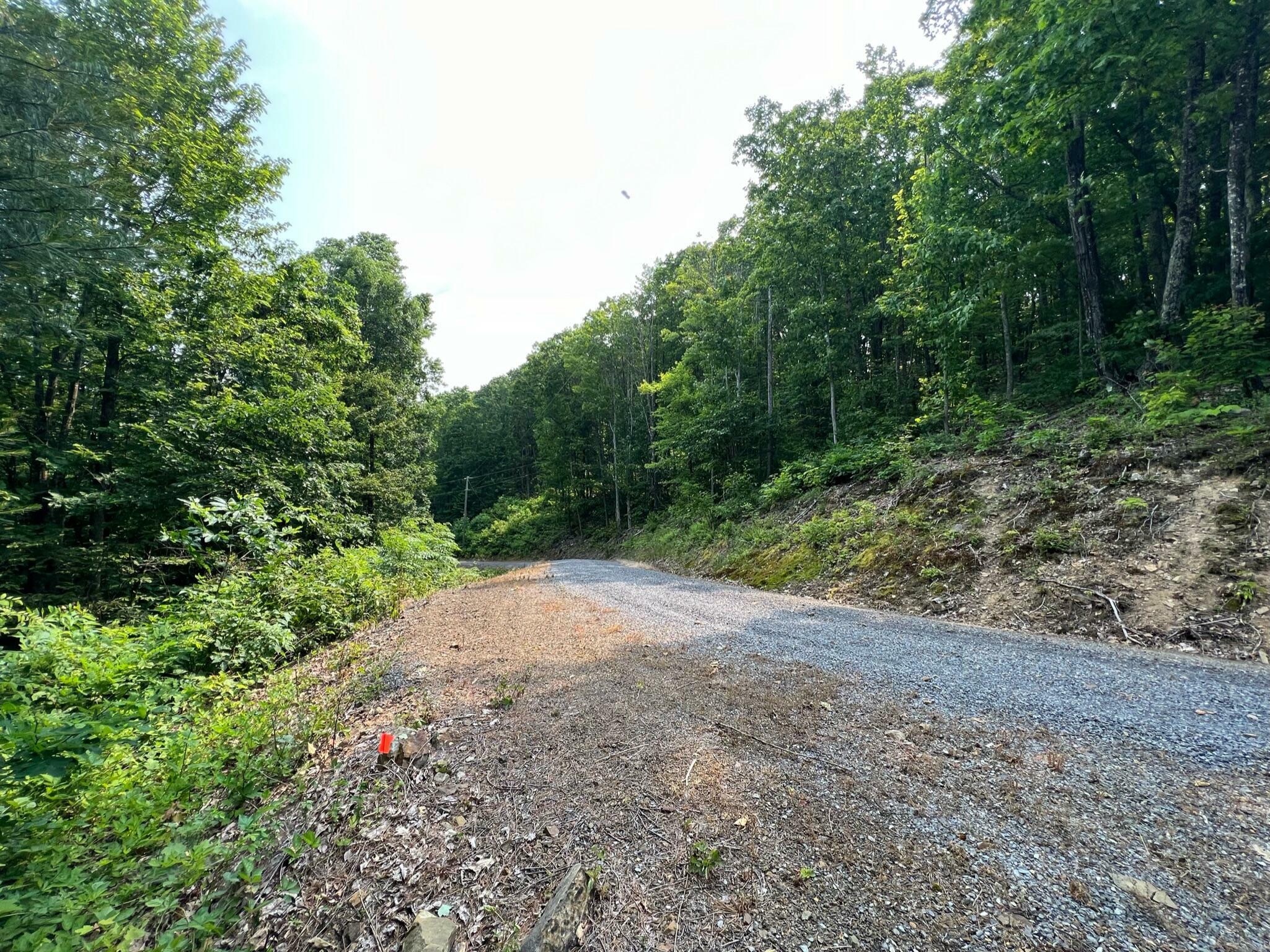 Property Photo:  Lot 29 Katy Drive Overlook At Greenbrier  WV 24986 