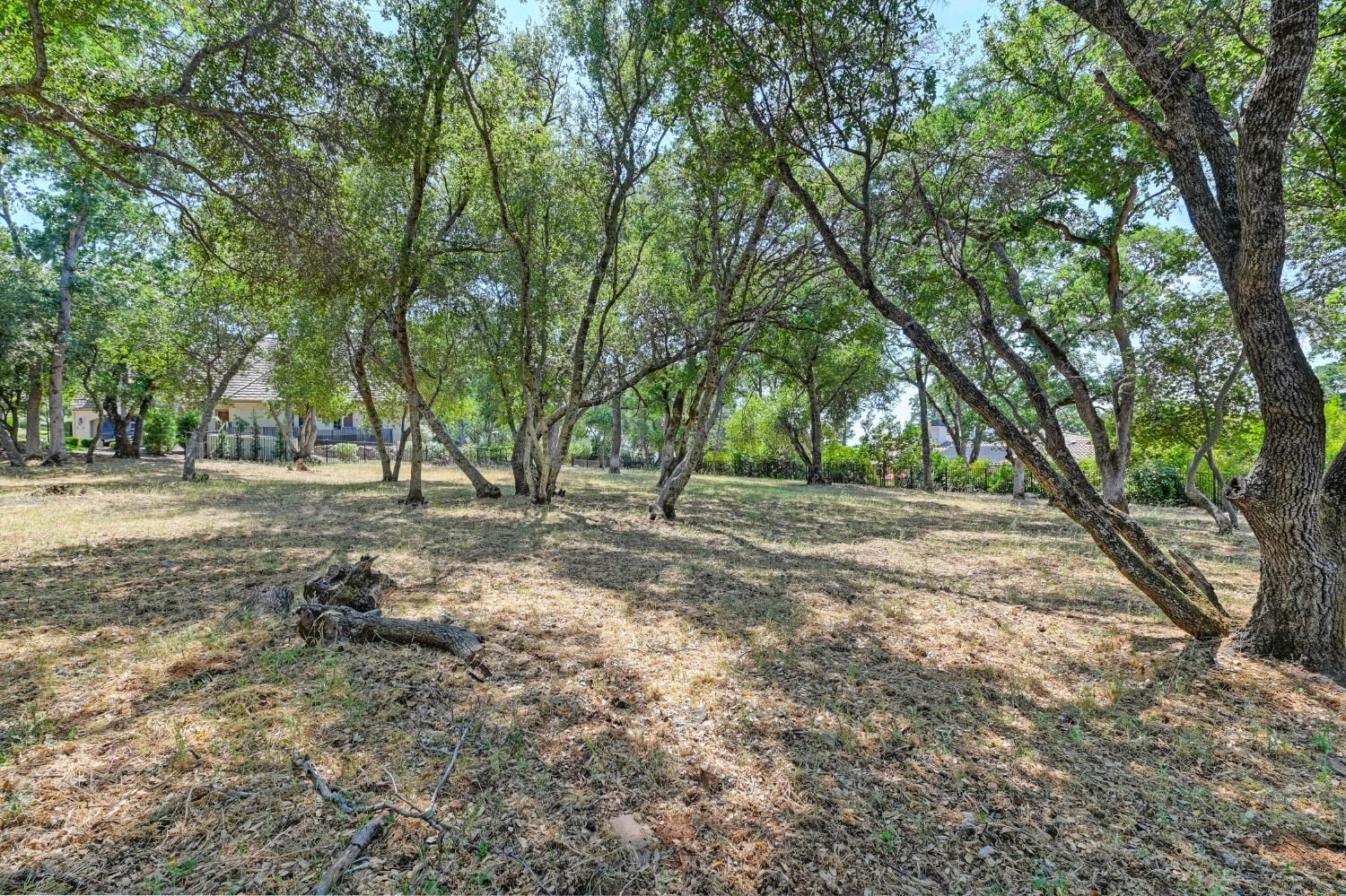 Property Photo:  100 Martini Court  CA 95762 