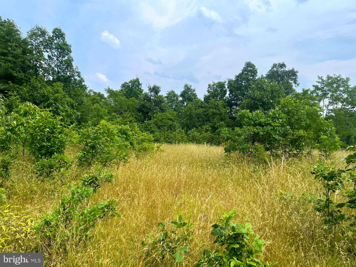 Property Photo:  15.00 Ac Goldsborough Road  WV 26763 