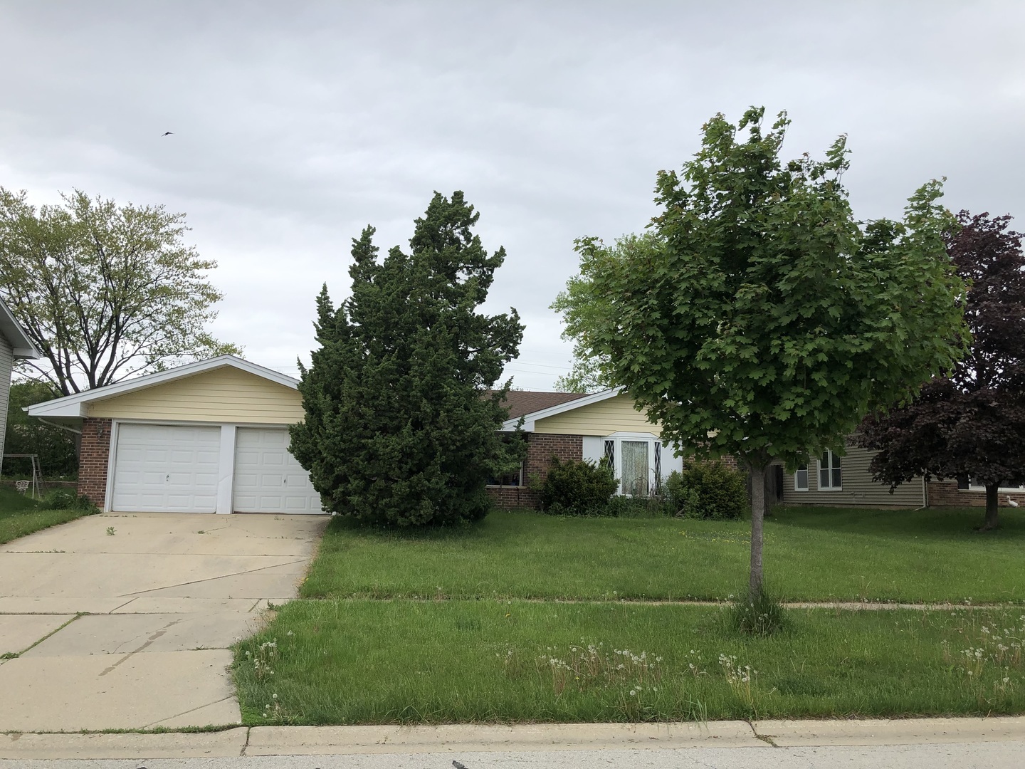 Property Photo:  980 Rosedale Lane  IL 60169 