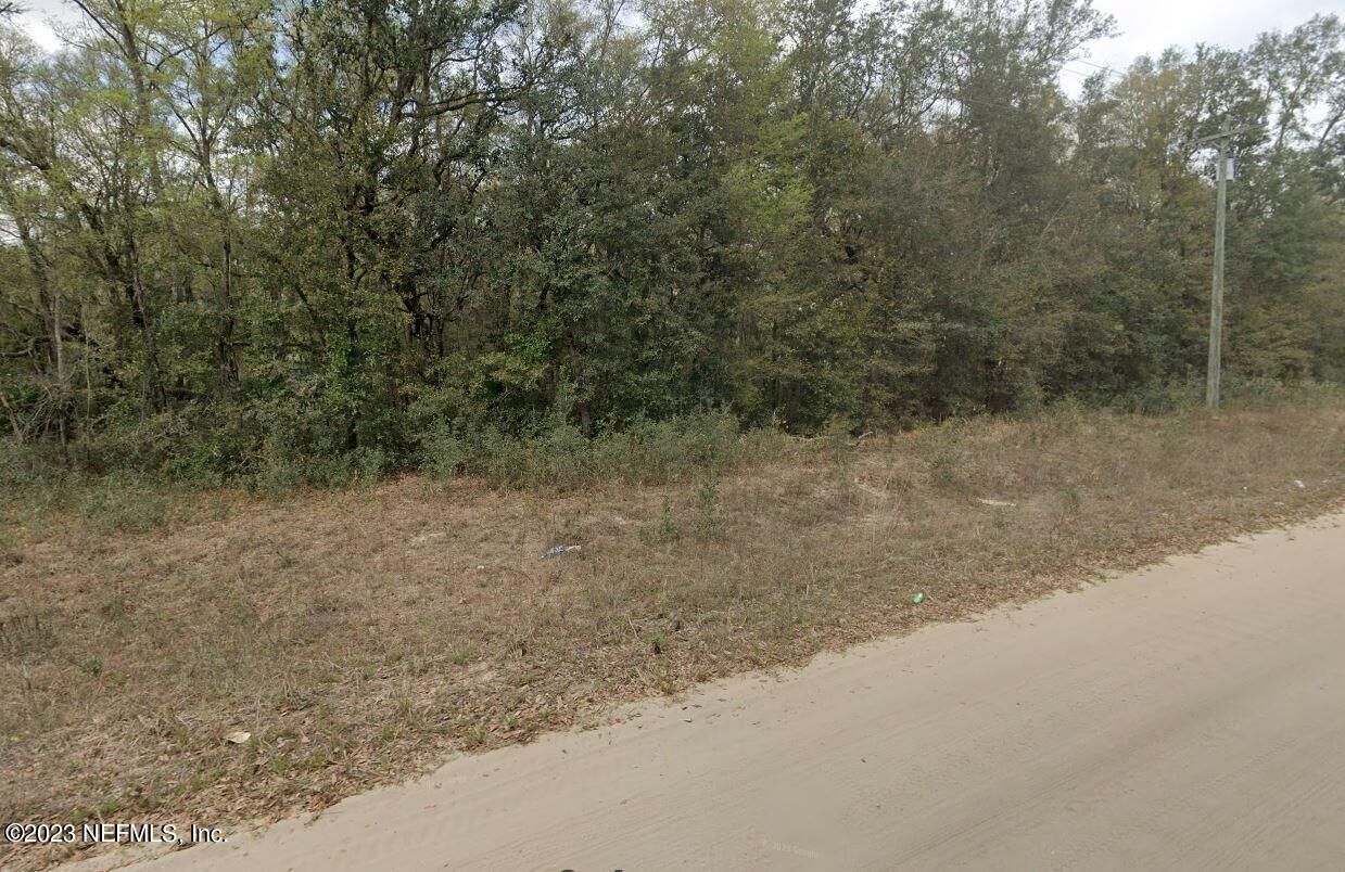 Property Photo: Lot 14 Annette Avenue FL 32148