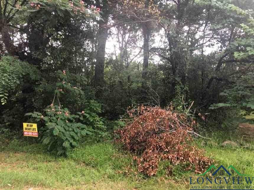 Property Photo:  805 Roosevelt Street  TX 75601 