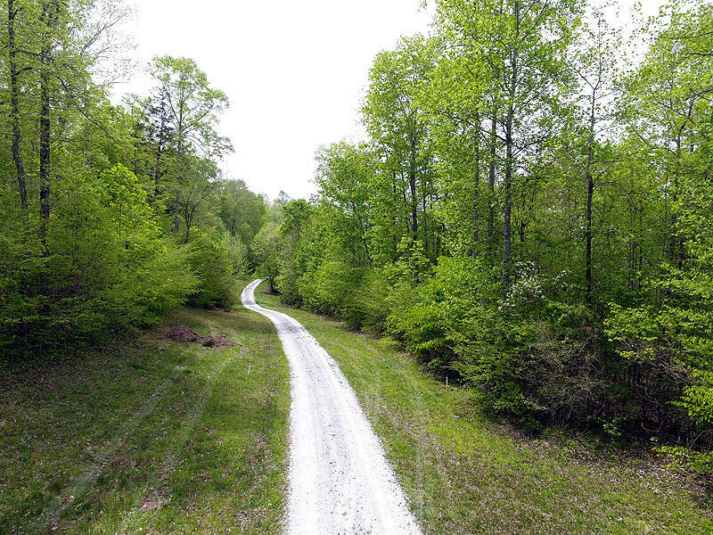 Property Photo:  Tract 3 Dogwood Drive  KY 42653 