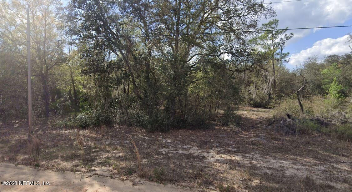 Property Photo: Lot 37 Walter Avenue FL 32148