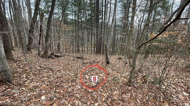 Property Photo: Lot 8 Woods Haven Lane VA 24171