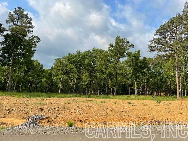 Orchard Hill Lot 13 &Amp 14 Ph 3  Conway AR 72034 photo