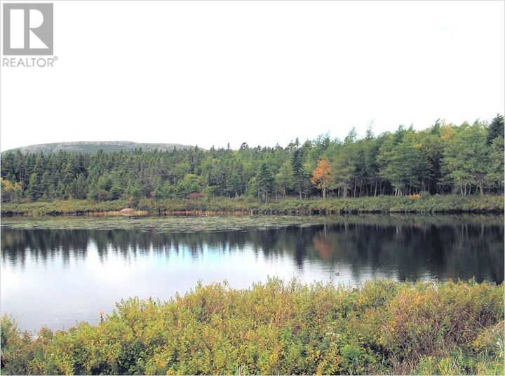Property Photo:  16-18 Mountain Crescent  NL A0A 3L0 