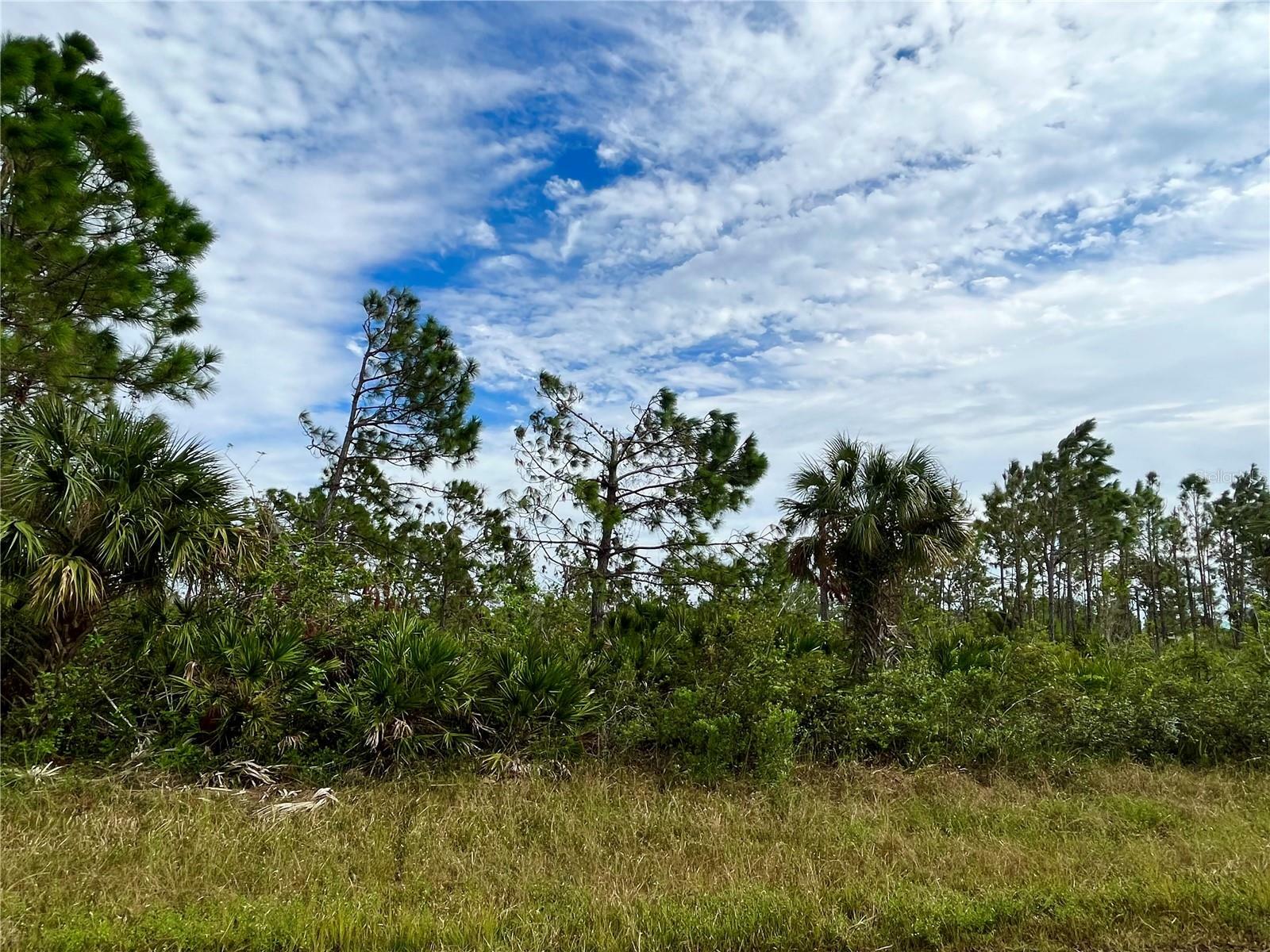 Property Photo: 12101 Keller Avenue FL 33981