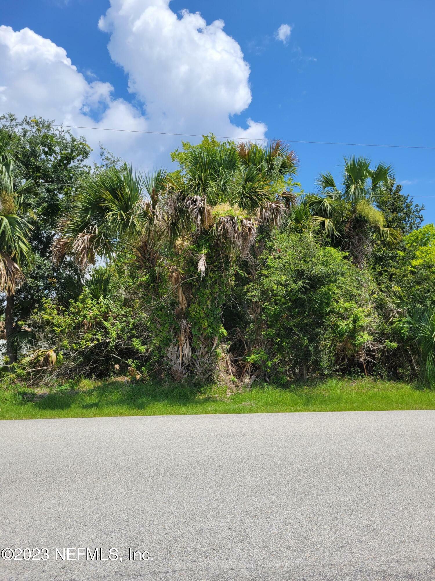 Property Photo:  164 Coral Reef Ct N  FL 32137 