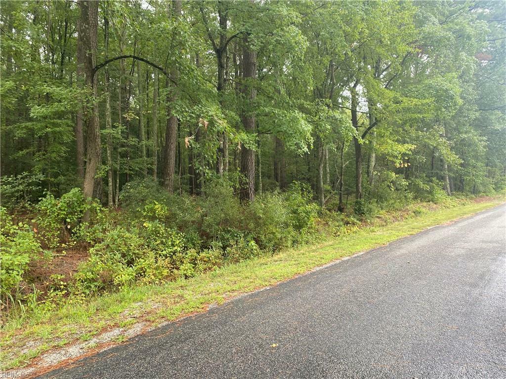 Property Photo:  0 Hicks Wharf Road  VA 23025 