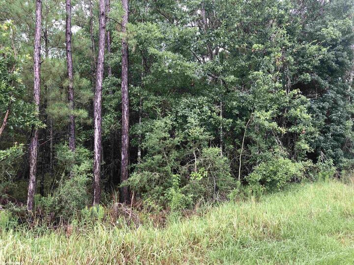 Property Photo: 0 Wilson Road AL 36530-0000
