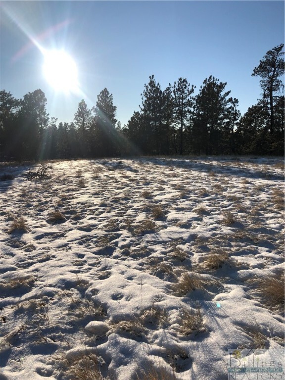 Property Photo:  Lot 123 Pinecrest  MT 59019 