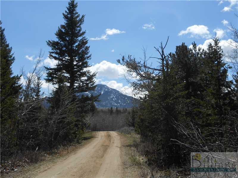 Property Photo: 3 Aspen Hollow MT 59068