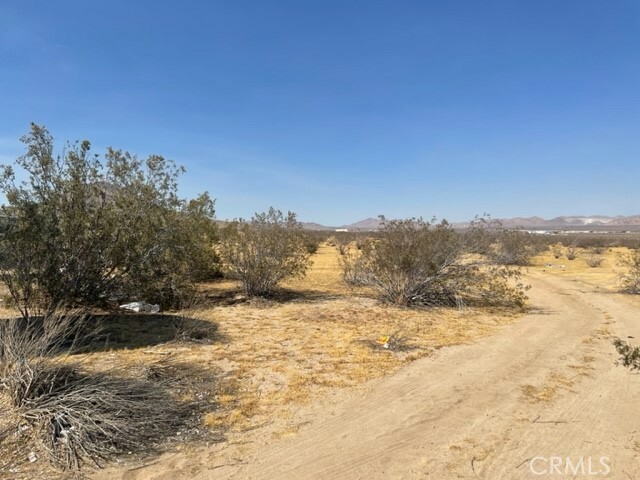 Property Photo:  0 Waalew Road  CA 92307 