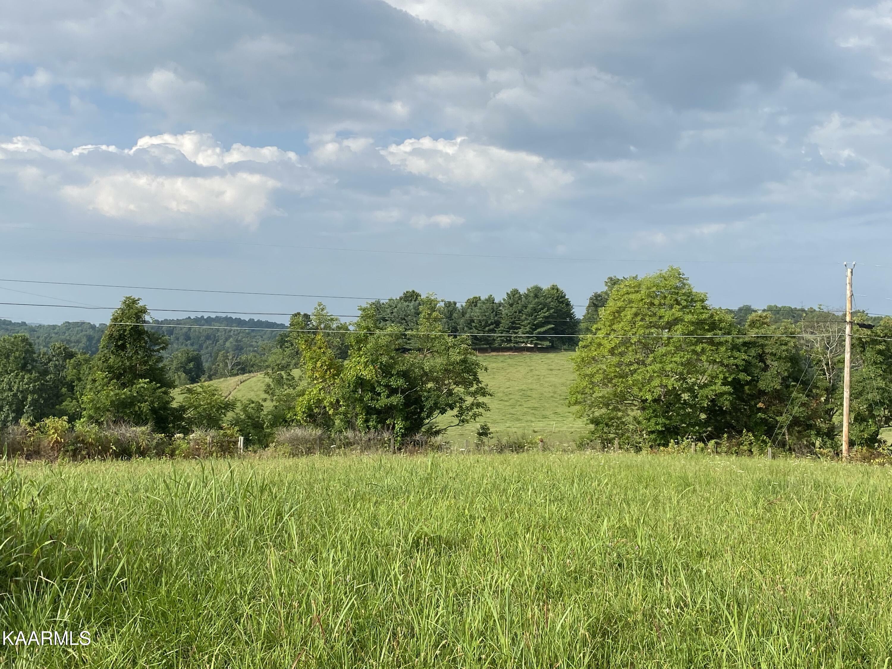 Property Photo:  380 Widner Road Rd  TN 37825 