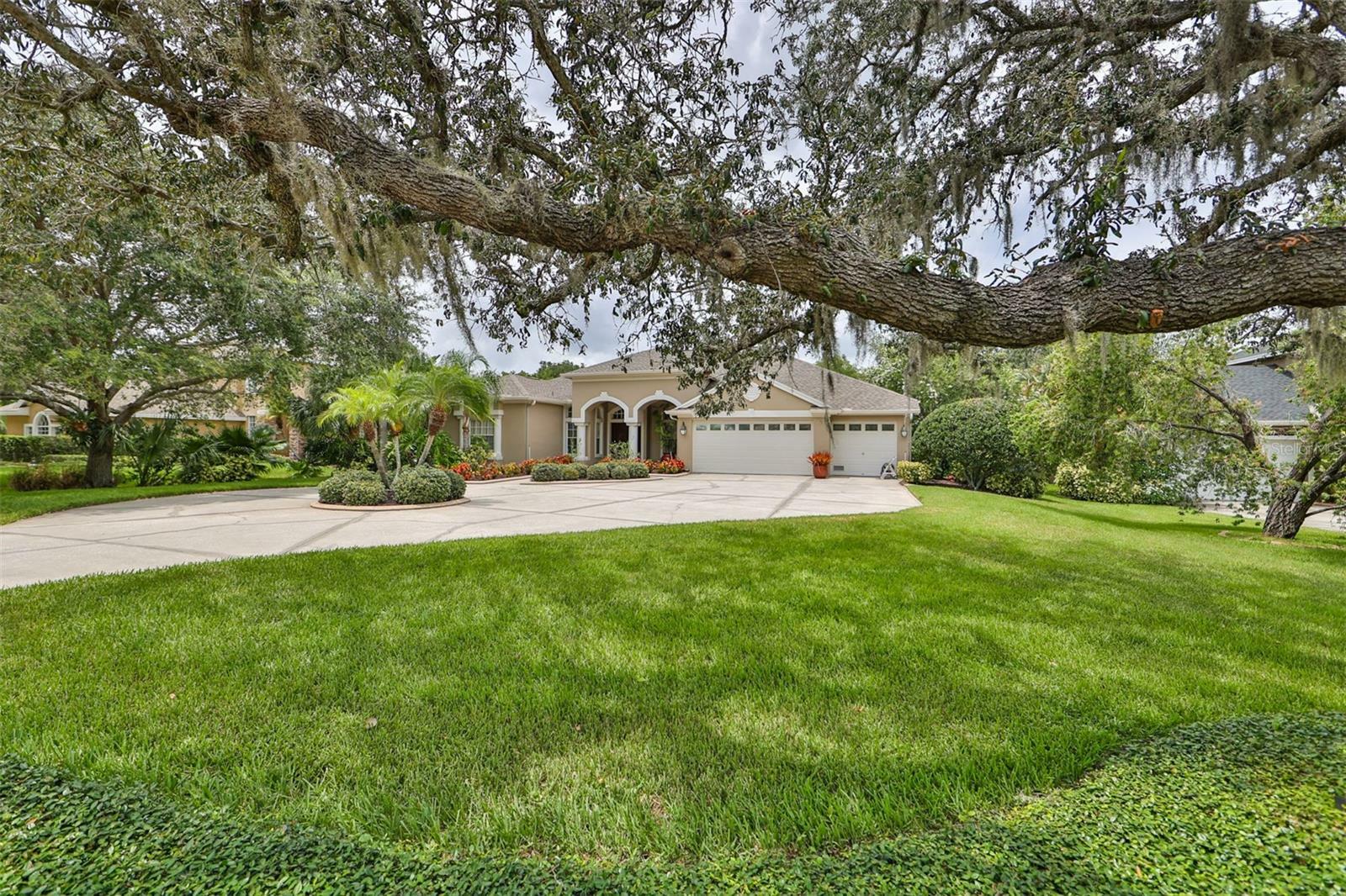 Property Photo:  3548 Enterprise Road E  FL 34695 