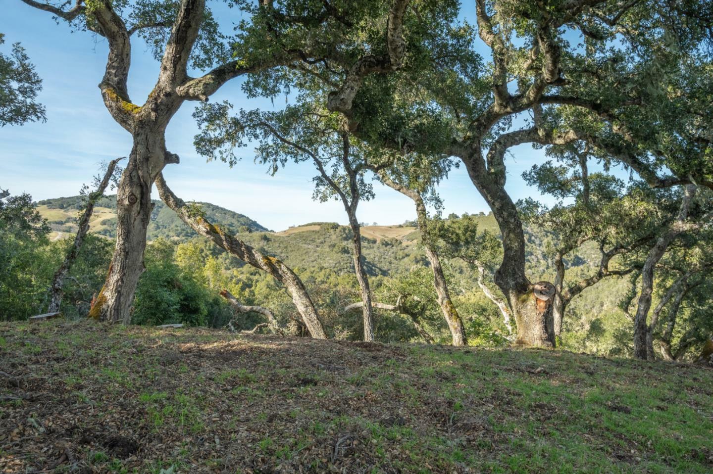 5 Vasquez Trail (Lot 170)  Carmel CA 93923 photo