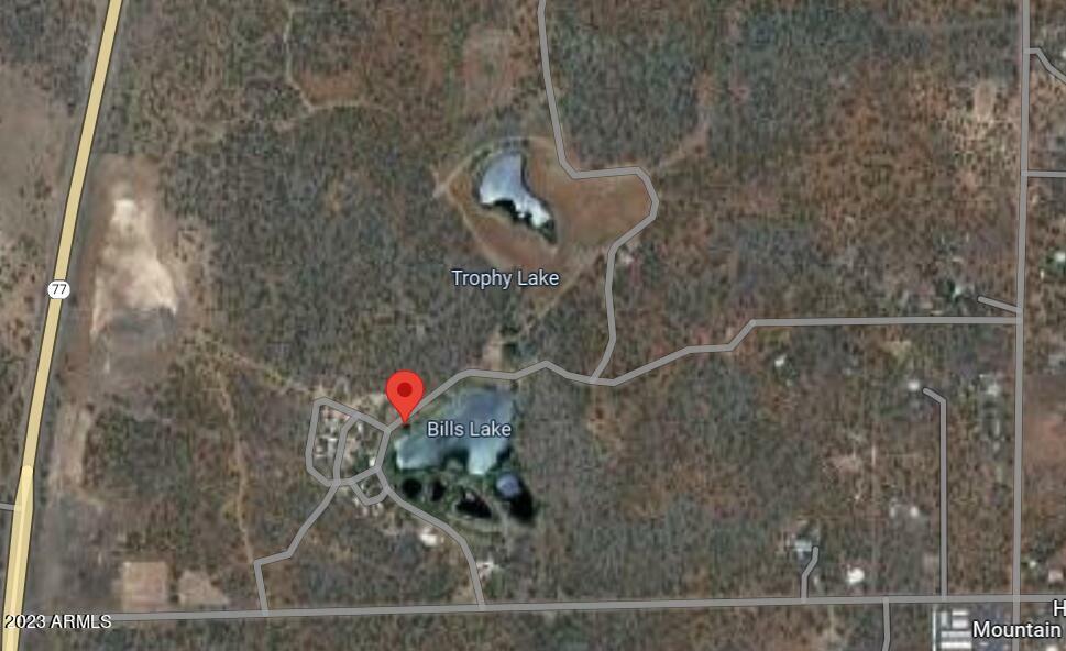 Property Photo:  7734 White Mountain Lake Road -  AZ 85901 