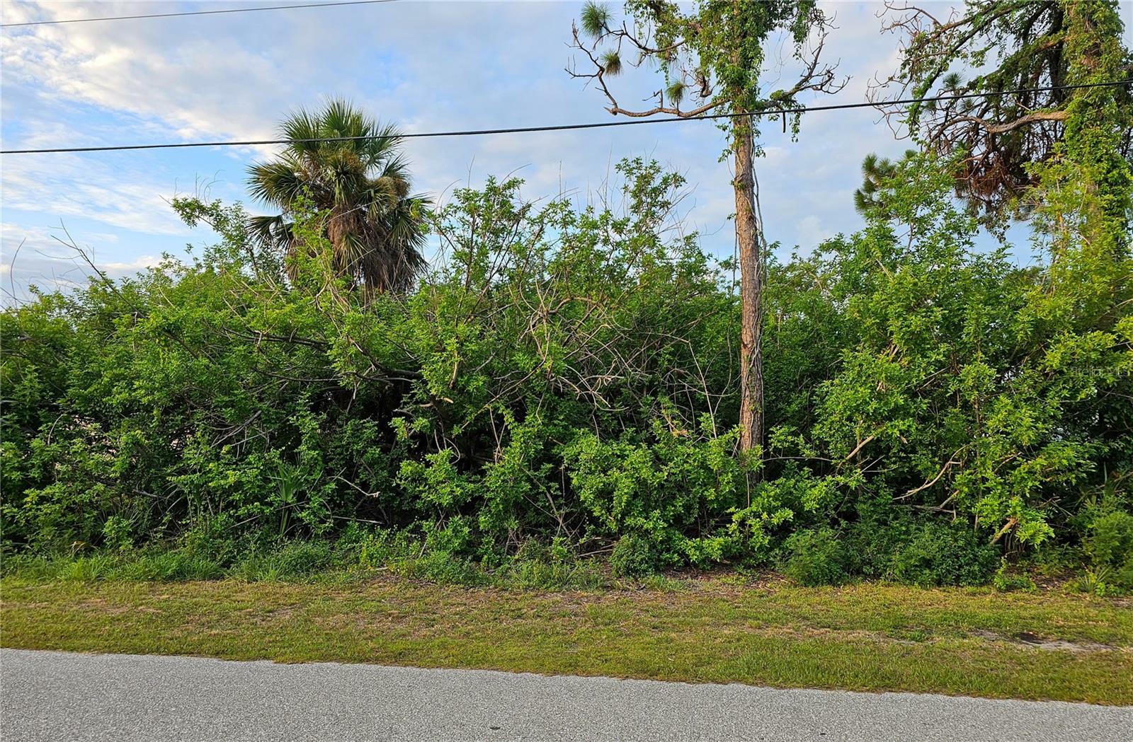 Property Photo:  11939 Gretchen Avenue  FL 33981 