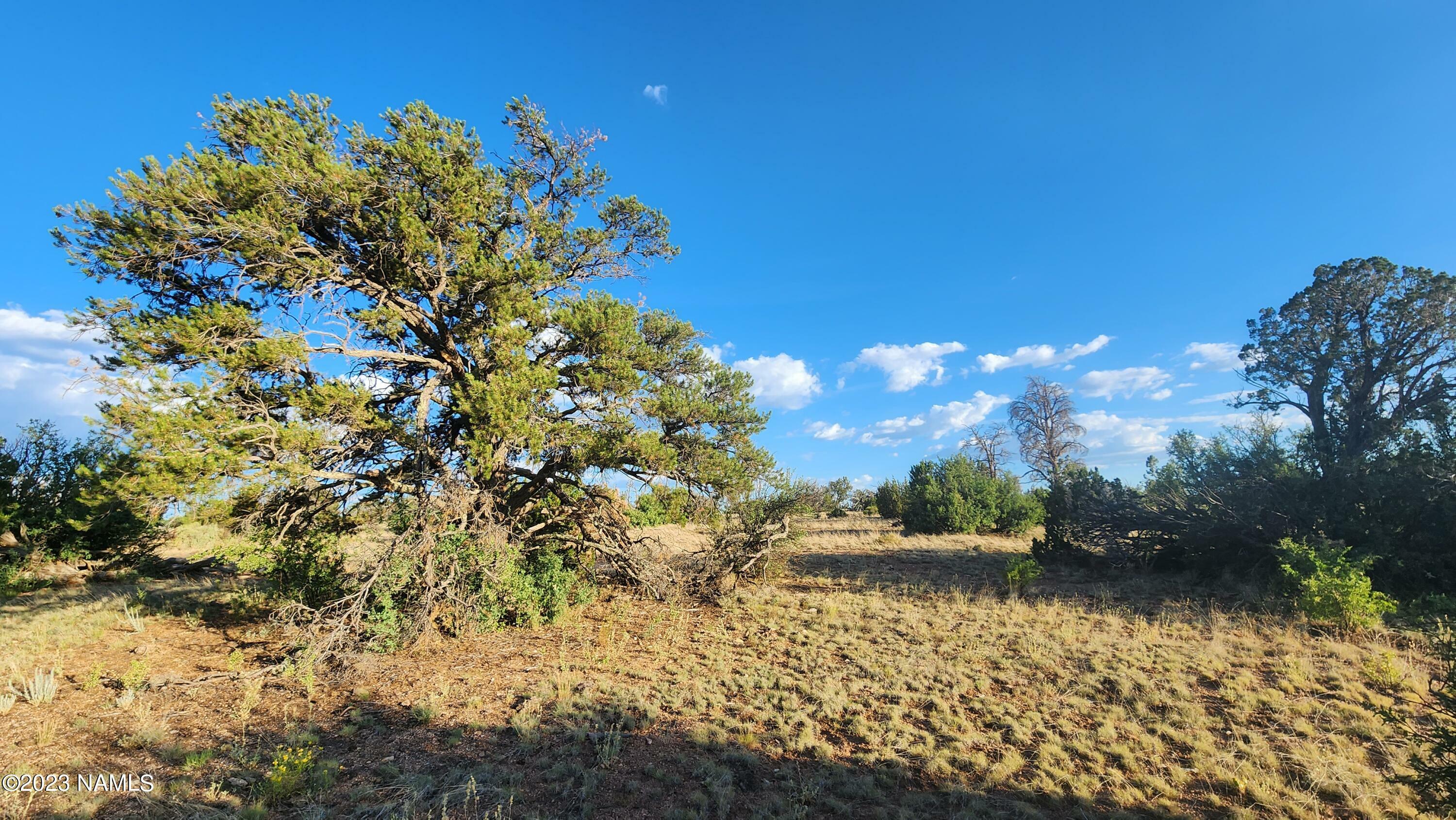 Property Photo:  5893 Fire Sky Trail  AZ 86046 