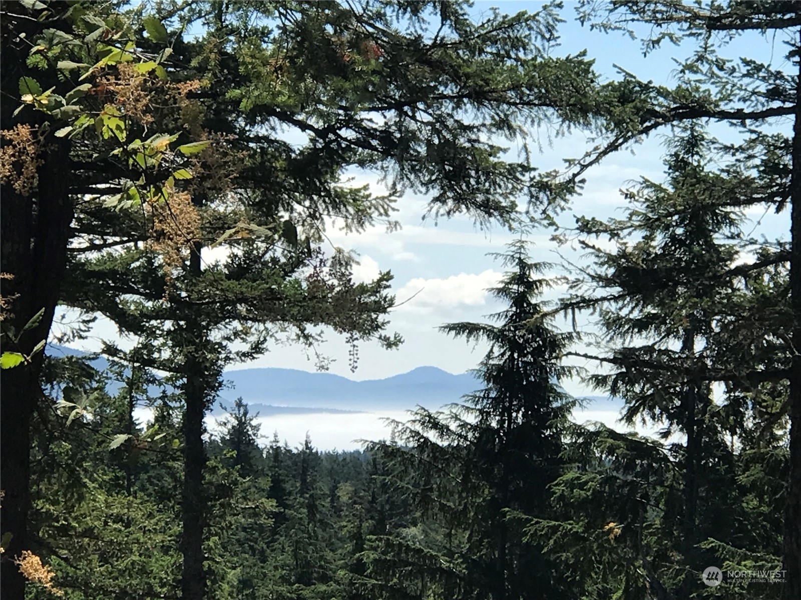 Property Photo: 224 Salish Way WA 98279