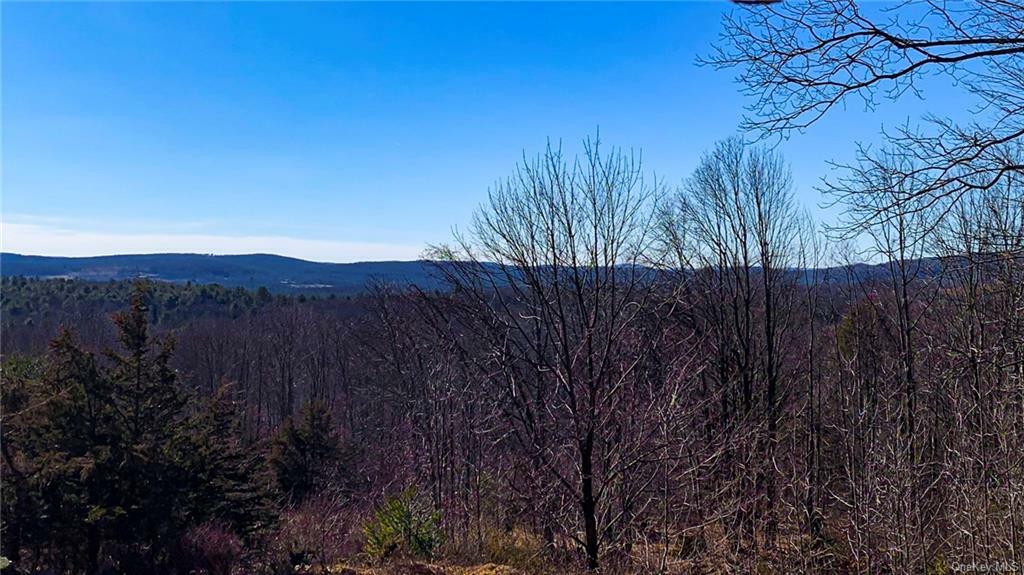 Property Photo:  11 Red Rock Road  NY 12489 