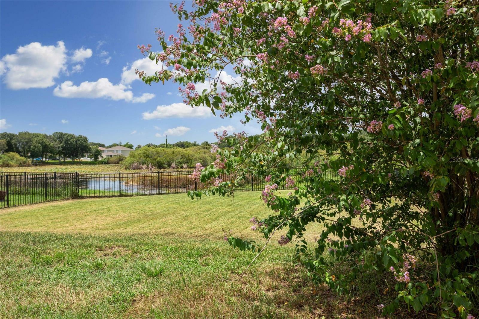 Property Photo:  7117 Hamilton Park Boulevard  FL 33615 