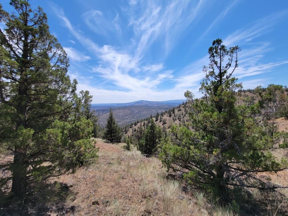 Property Photo:  4900 SE Deer Run Road  OR 97754 