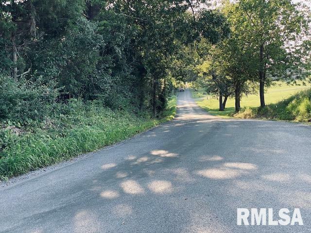 Property Photo: Lot 4 Falcon Road IL 62901