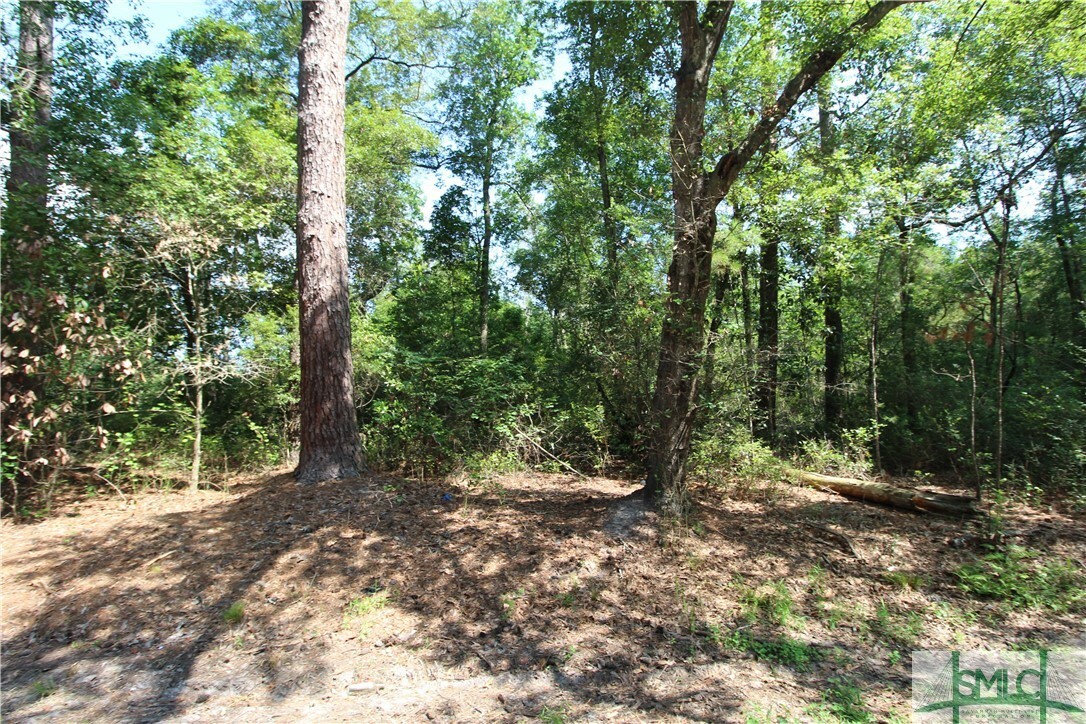 Property Photo:  0 Hwy 119 Highway N  GA 31329 