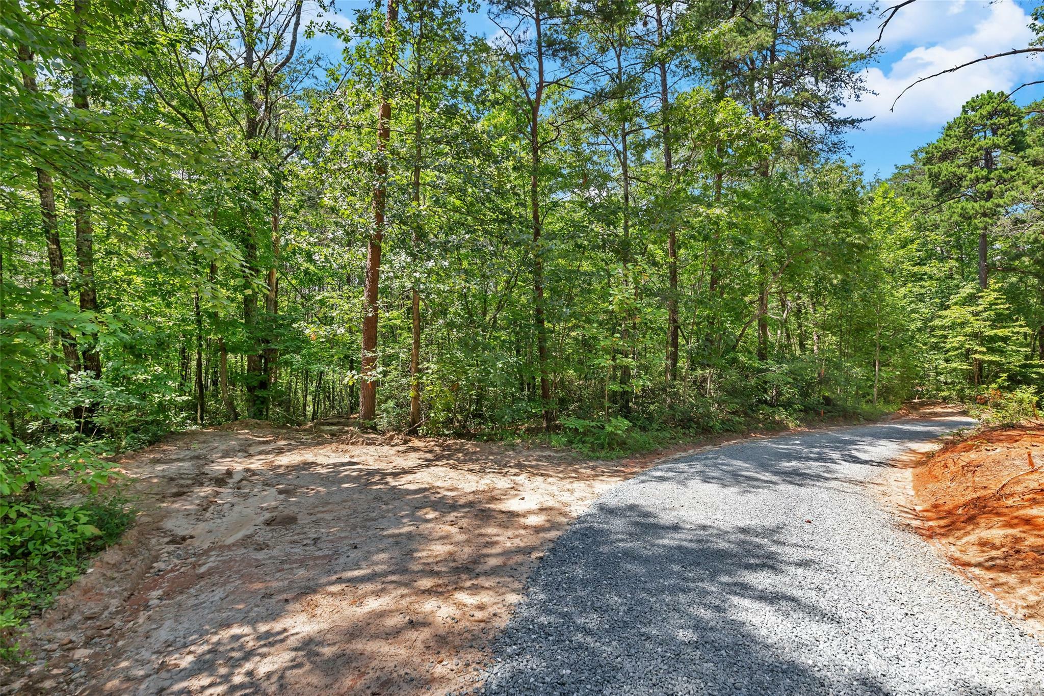 Property Photo:  0000 White Pines Trace  NC 28756 