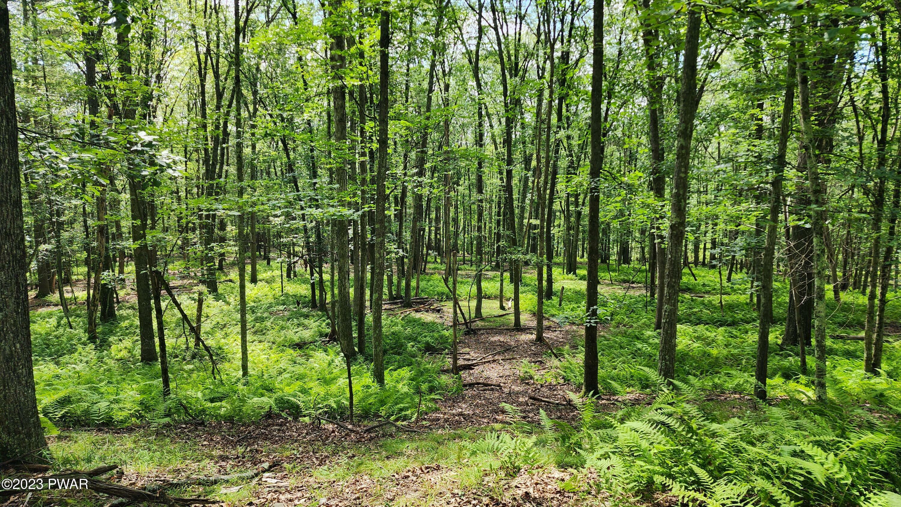 Property Photo:  Lot 463 Eastwood Circle  PA 18428 