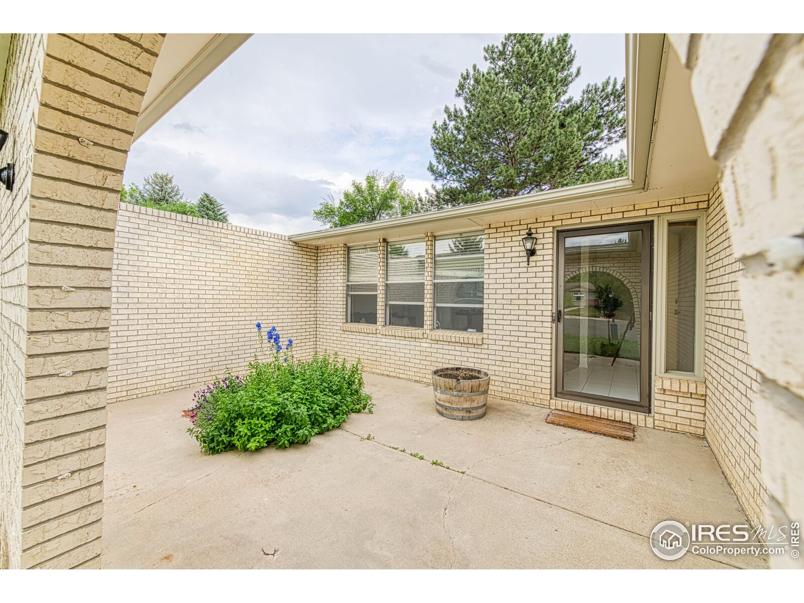 Property Photo:  1608 Ithaca Ct  CO 80503 