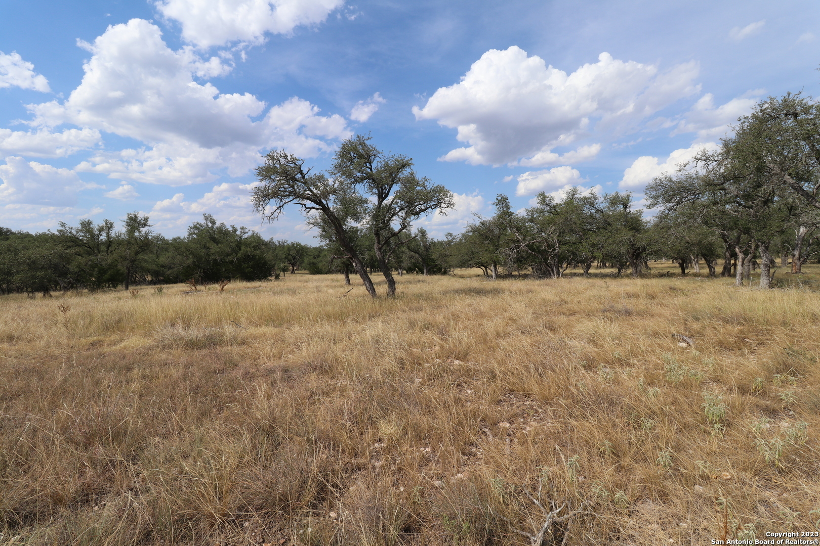 Property Photo:  Lot 31 Nott Branch Rd  TX 78631 