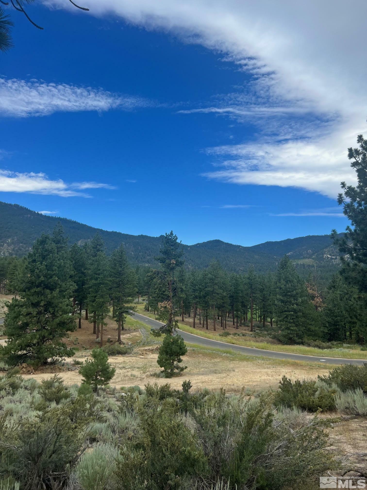 Property Photo:  569 Headwaters Wy 358  NV 89705 