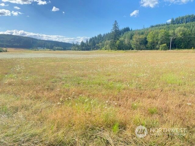 Property Photo: 799 Bunker Creek Road WA 98532