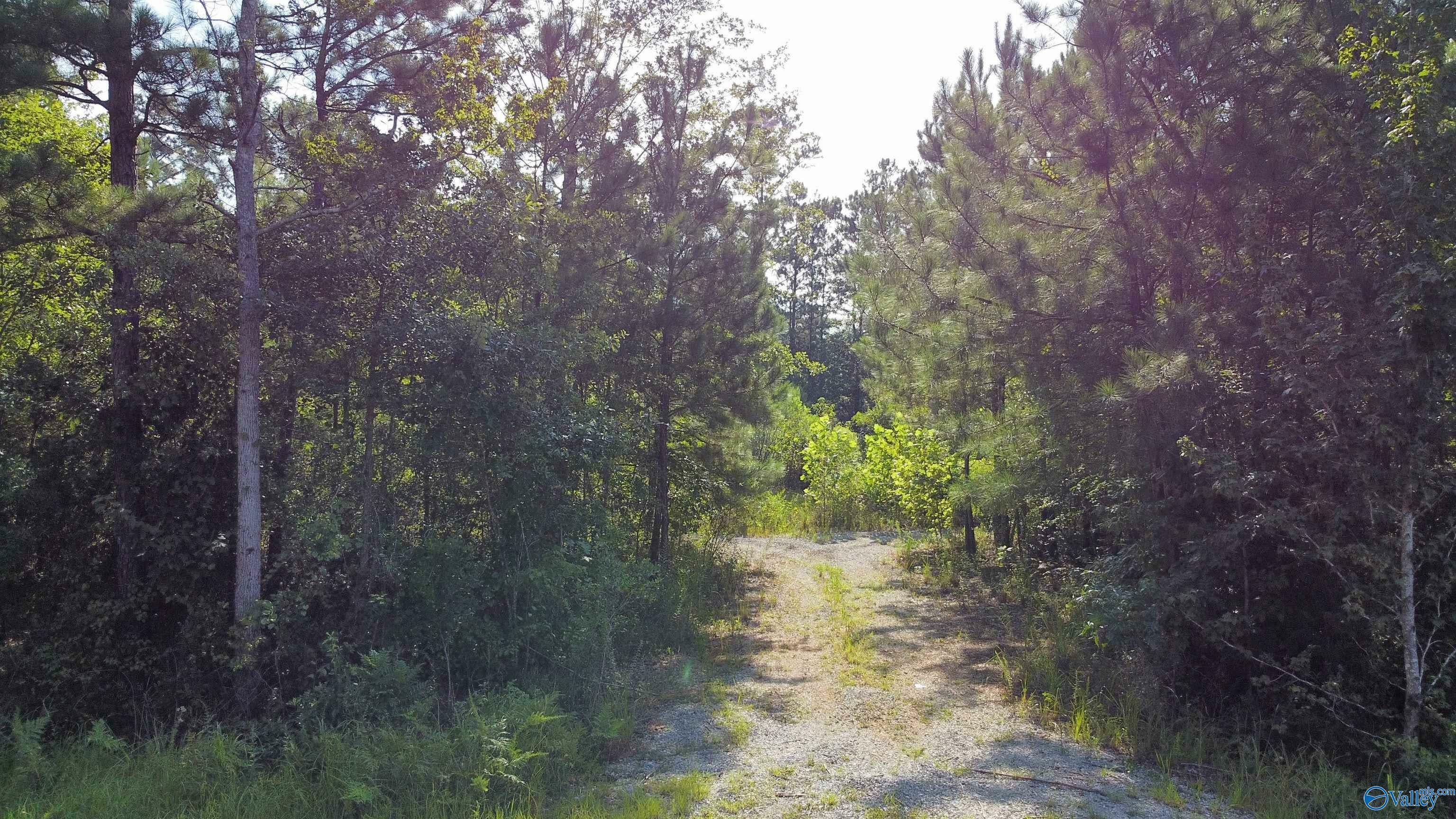 Property Photo:  Lot 6 Hiawatha Place  AL 35906 